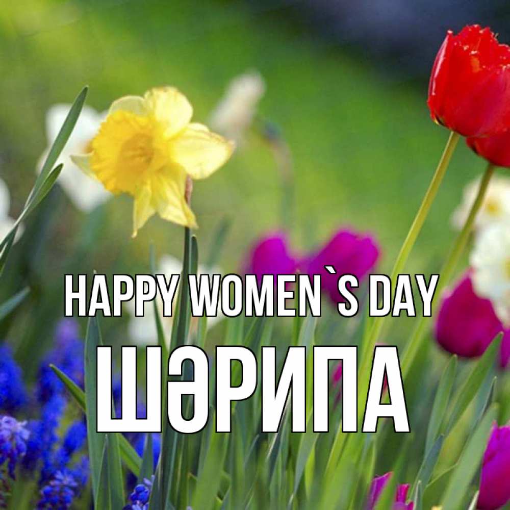 Greetings card с именем, ШӘРИПА happy women`s day международный женский день 3 Greetings with text for free download 